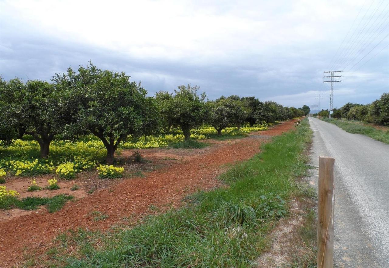 Jardines De Denia 3 Villa ภายนอก รูปภาพ